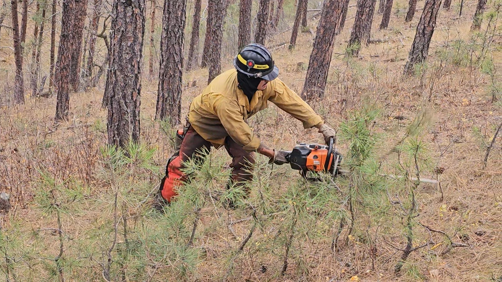 Service photo
