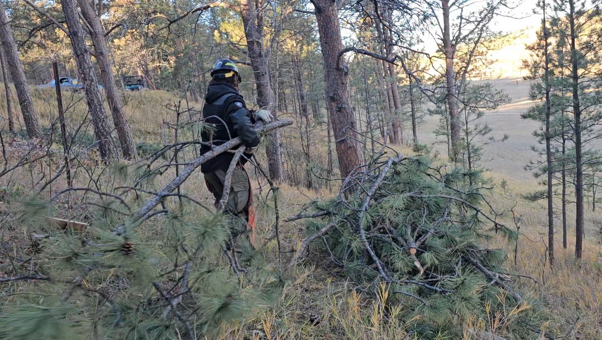 Service photo